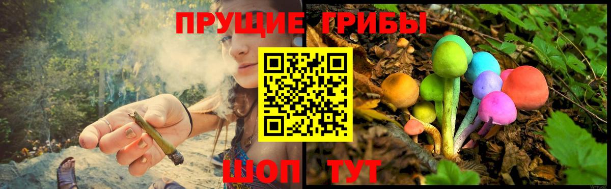 Псилоцибиновые грибы Psilocybine cubensis Сухой Лог